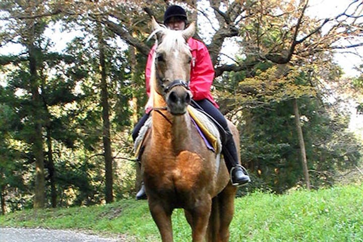 KRC乗馬センター