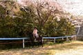 春先には、桜並木の下でやわらかな風を感じながら乗馬。自然と心が癒されます。