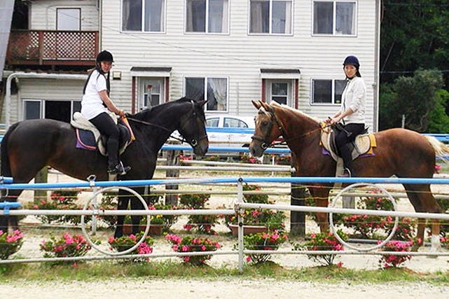 【福岡県・鞍手町】桜並木を駆けよう！乗馬専用の温厚な馬で初めての乗馬体験