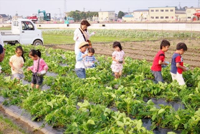 富山県にあるJun Blend Farmは、西洋野菜の生産、販売を行っています。