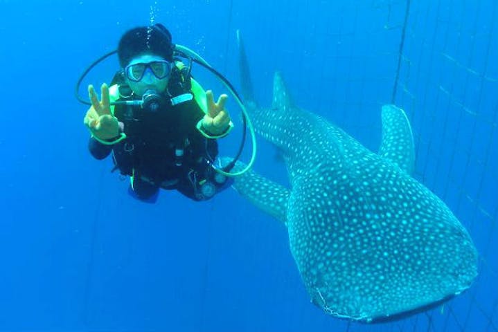 沖縄ダイビングサービス あいる・ぷまんどぅ