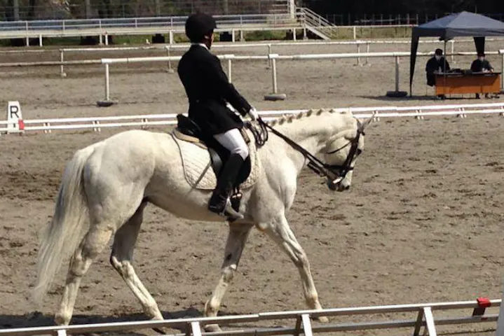 群馬 前橋市 乗馬体験 馬とゆっくりふれ合える 初心者でも楽しめる乗馬体験 アソビュー
