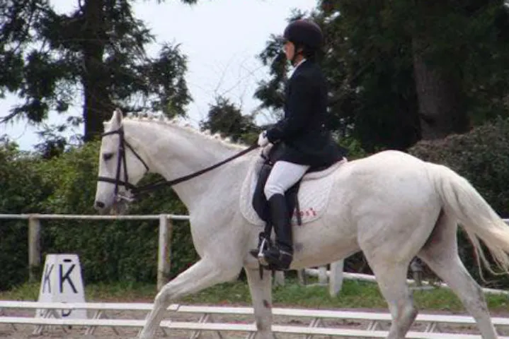 群馬 前橋市 乗馬体験 馬とゆっくりふれ合える 初心者でも楽しめる乗馬体験 アソビュー