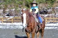 ウエスタンスタイルとは、馬の心理や習性を利用して馬を調教するアメリカ発のスタイルです。