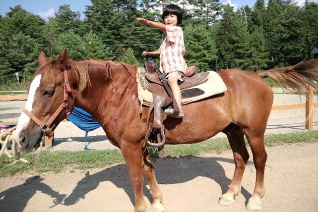 カズホーストレーニングは、岐阜県郡上市で、ウエスタンスタイルの乗馬クラブを主催しています。