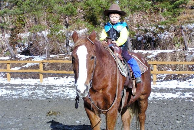 【岐阜県郡上市・乗馬体験・15分】短時間で、誰でもカウボーイになれる！ウエスタンスタイルの乗馬体験