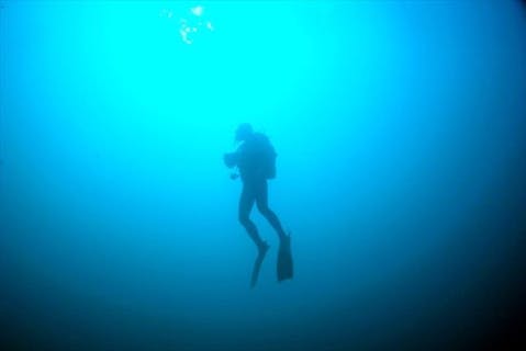 【静岡・体験ダイビング】魚と同じ目線で海中散歩を楽しもう！ 初心者、お子さま大歓迎です