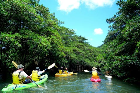【西表島・マングローブカヌー】マリユドゥの滝を眺め、カヌー下りで水遊び！充実1日プラン
