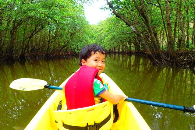 【西表島・カヌー】歴史と自然を感じるカヌーの旅！亜熱帯のジャングルを冒険しよう！半日プラン