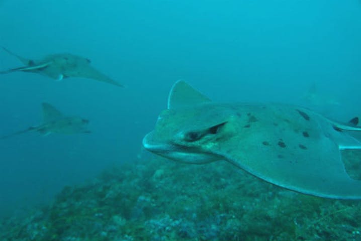 ダイビングステーションAQUA（アクア）工房