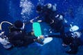 洞窟内にはカニやエビ、暗闇を好む魚たちが暮らしています。ミステリアスな光景をご覧ください。
