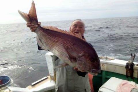 伊豆諸島 小笠原諸島海釣り 船釣り体験 料金比較 予約 アソビュー