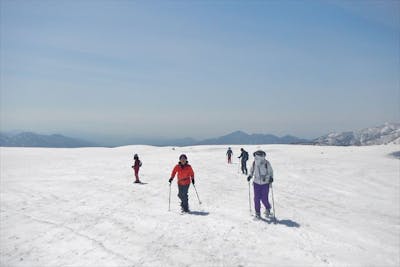 富山・スノーシュー】自然豊かな富山の森、雪に覆われた白銀の世界を歩 
