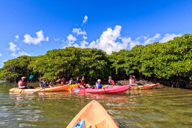 【沖縄県・億首川】ガイドは安心の沖縄県カヤック・カヌー協会公認資格保持・マングローブ林→美ら海→ビーチ上陸＆散策付ネイチャーツアー！【３歳からシニア・初心者大歓迎】GoPro無料撮影