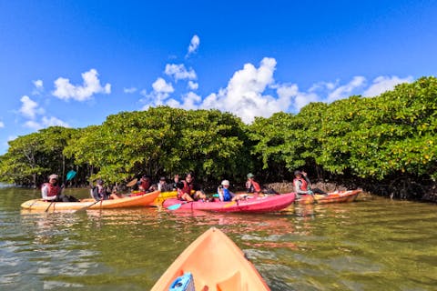 【沖縄県・億首川】ガイドは安心の沖縄県カヤック・カヌー協会公認資格保持・マングローブ林→美ら海→ビーチ上陸＆散策付ネイチャーツアー！【３歳からシニア・初心者大歓迎】GoPro無料撮影