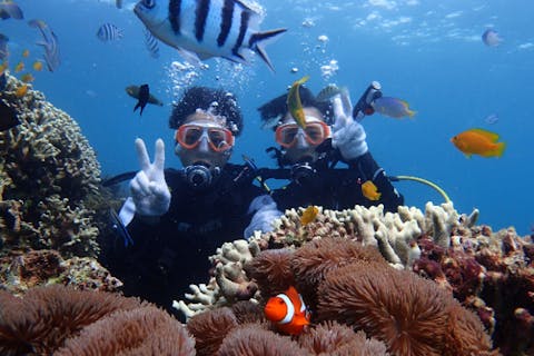 【沖縄・宜野座村・ダイビング】未開な自然がいっぱい！手つかずの海で体験ダイビング（オプション・BBQ）