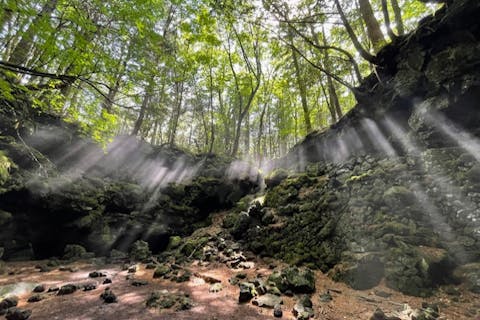 【山梨・エコツアー】大迫力の森林を歩く！青木ケ原樹海で洞窟探検と森歩き体験プラン（Aコース）