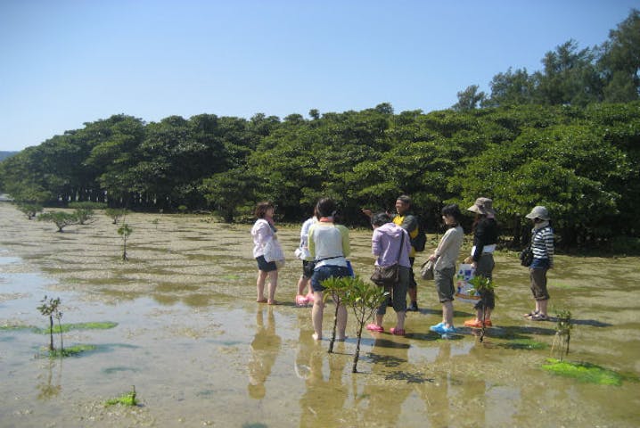 屋我地エコツーネット