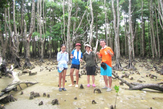 【沖縄・屋我地島・エコツアー】自然の営みを見に行こう！マングローブ林散策プラン
