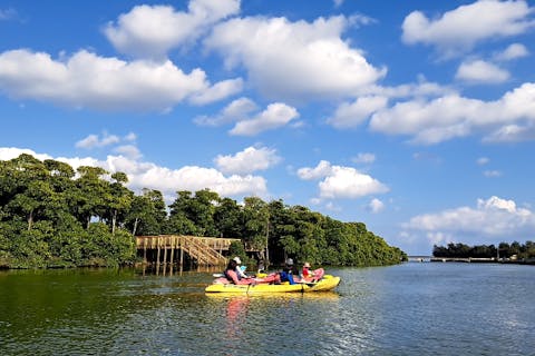【沖縄県金武町・マングローブカヌー】たっぷり2時間！開放感いっぱいの億首川をゆったり水上散歩