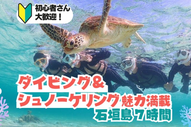 幻の島＆ウミガメとたっぷり遊ぶ！体験ダイビング＆シュノーケル｜1日まるごと大満喫！初心者歓迎・送迎付き【石垣島・7時間】