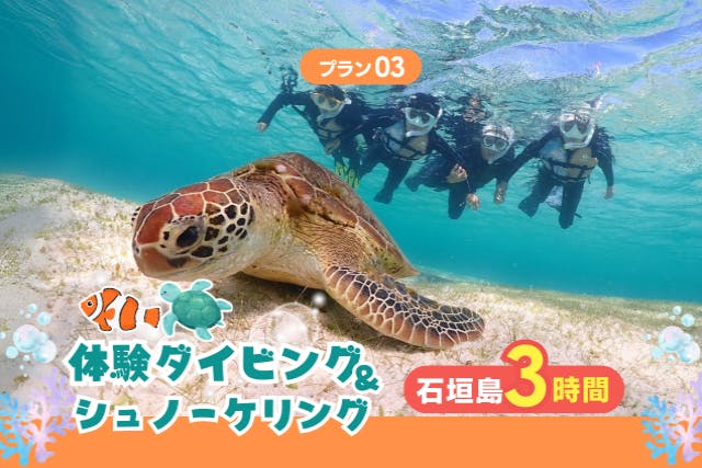 半日でできる体験ダイビング＆シュノーケリング！ウミガメとの高遭遇率でツーショットを狙おう！撮影データ無料プレゼント【石垣島・3時間～】d03