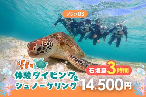 半日でできる体験ダイビング＆シュノーケリング！ウミガメとの高遭遇率でツーショットを狙おう！撮影データ無料プレゼント【石垣島・3時間～】d03