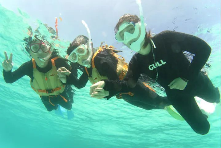 動機 定期的な カメラ シュノーケリング メイク Socialpro Jp