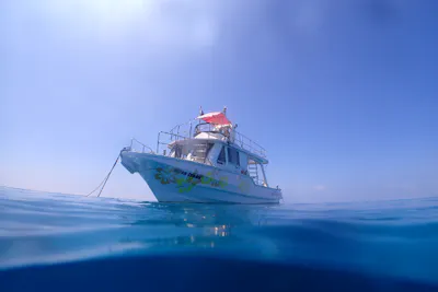 石垣島・スクーター シュノーケリング】水中スクーターで楽々！一味