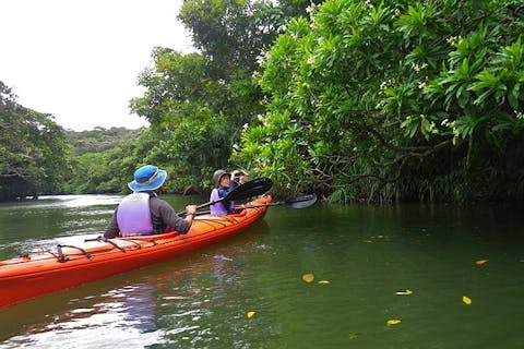 【西表島・カヤック】大迫力のマングローブ原生林を、カヤックで冒険しよう！