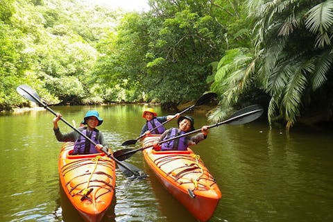 【西表島・カヤック・トレッキング】ジャングルを突き進み、幻のナーラの滝に出会う！