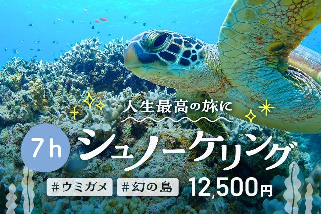 【石垣島・1日】初心者向け！プレミアムシュノーケリング体験 - 石西礁湖のサンゴ！ウミガメ！幻の島を贅沢に満喫！【無料器材レンタル＆写真データ】