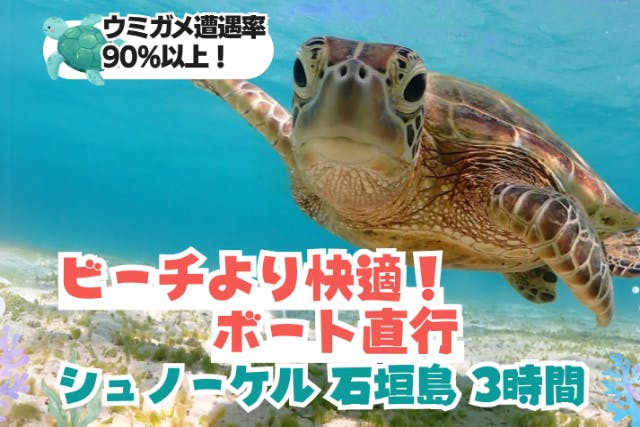 【石垣島・半日】石西礁湖＆ウミガメシュノーケリング - 90％以上の遭遇率でウミガメと泳ぐ夢の時間！【無料器材レンタル＆写真データ】