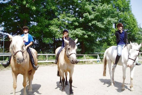 【茨城・乗馬体験】緑あふれる広大な草原の中で乗馬デビュー！
