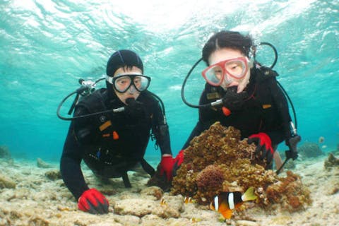 【シュノーケル＆ダイビング・青の洞窟】体験ダイビング＆神秘の青の洞窟シュノーケリング！無制限撮影＆無料プレゼント！