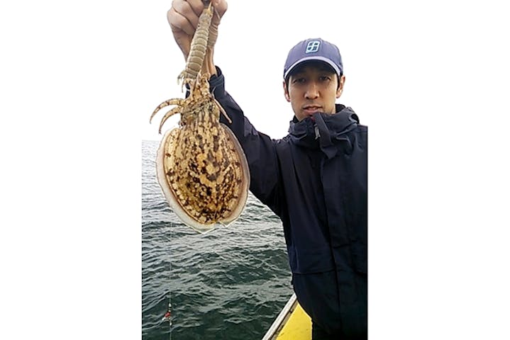 横浜 根岸 船釣り 東京湾で大人気 スミイカ釣りにチャレンジ アソビュー