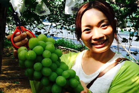 熊本でぶどう狩り 熊本のおすすめぶどう狩り農園の予約は アソビュー