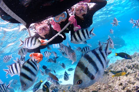 ワクワクのボート旅から始まる青の洞窟シュノーケル。専属ガイドが家族の“はじめての海”で最高の思い出作りをサポート。GoPro撮影も可能★