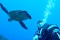 初めて潜られる方や、水中世界を少しだけ覗いてみたい方には、体験ダイビングがオススメです。
