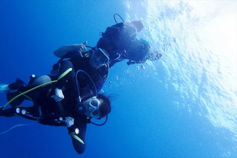 【伊豆半島・スキューバダイビング】全力サポートつき！OW講習でダイバーを目指そう（御殿場駅等送迎付き）