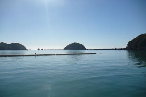 【徳島・宍喰・半日・サーフィンスクール】初めてでも安心！みっちり学べる半日サーフィンスクール