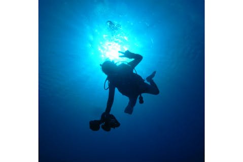 【沖縄・体験ダイビング】有名ビーチ、ゴリラチョップでクマノミに会いに行こう！