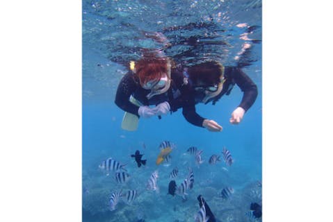 【沖縄・シュノーケリング】サンゴの海、瀬底島・水納島へボートでお連れします　※ポイントは当日の海況によって決まります。
