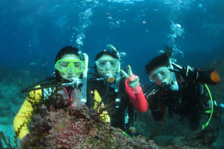 ルビーナダイバーズ