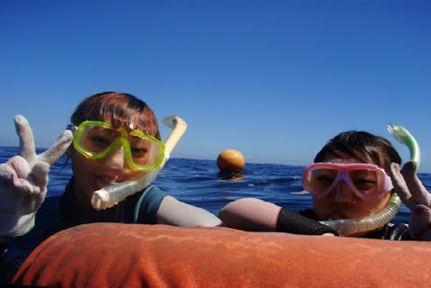 【静岡・伊豆・スノーケリング】水族館の中を泳いでいるような浮遊感に身をまかせよう（1組貸切）