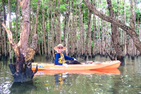 【沖縄・屋我地島・シーカヤック】マングローブの林の中へ！マングローブ＆シーカヤック