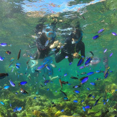 アクアメイトダイビングクラブ ネット予約ならアソビュー アクアメイトダイビングクラブ ネット予約ならアソビュー