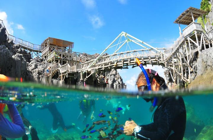 アクアメイトダイビングクラブ 伊豆諸島 小笠原諸島 シュノーケリング その他 アソビュー