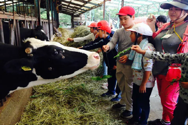 静岡県富士宮市 牧場体験 エサやりや乳しぼり バター作りを楽しめる 牧場体験 アソビュー