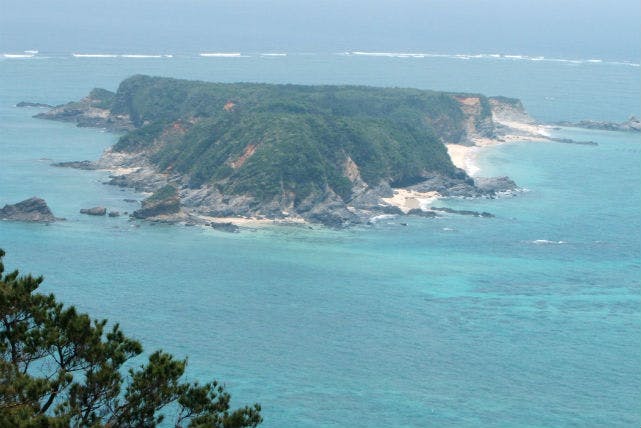 沖縄 国頭郡 カヤック 透明感あふれる海とを満喫しよう シーカヤック シュノーケリングプラン アソビュー